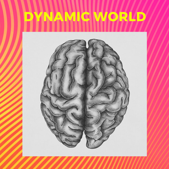 Dynamic World