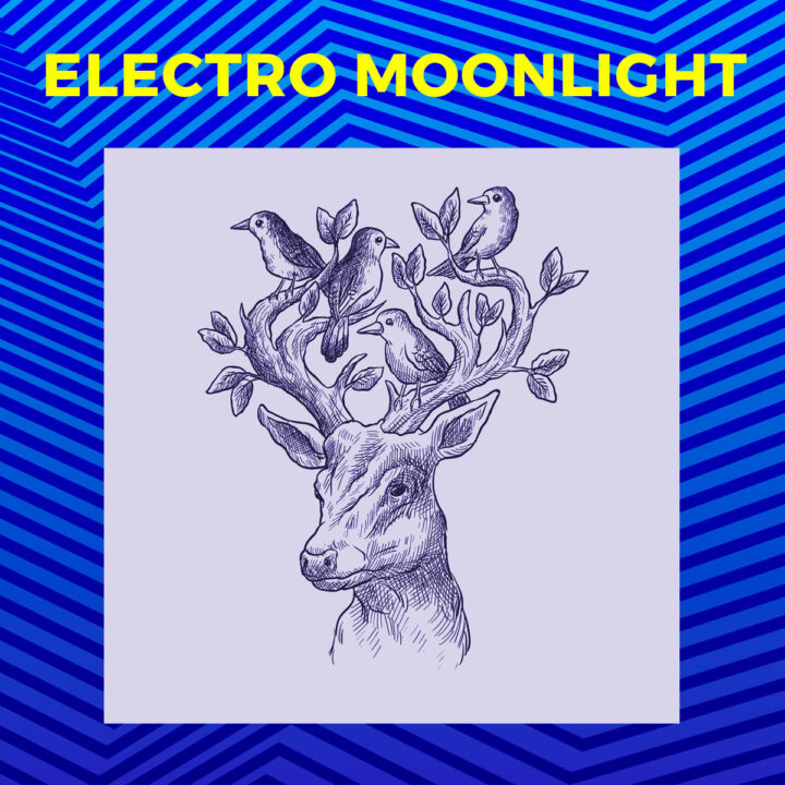 Electro Moonlight